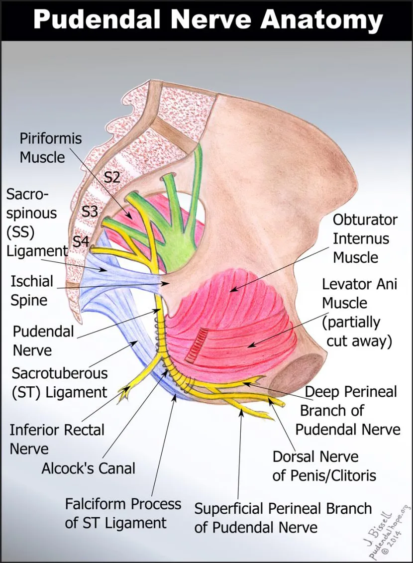 Chronic Pain Diagram